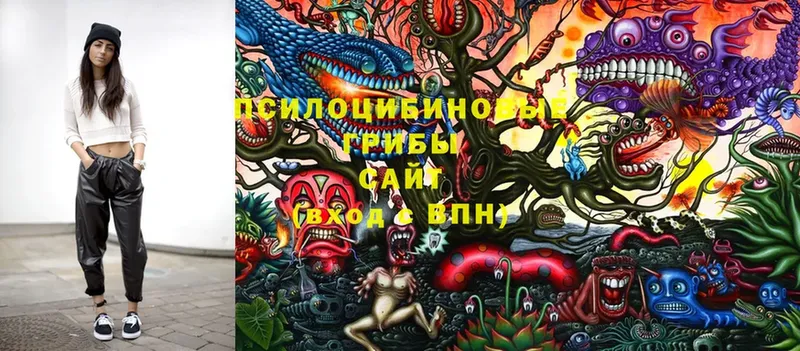 что такое наркотик  Мурино  Галлюциногенные грибы Cubensis 